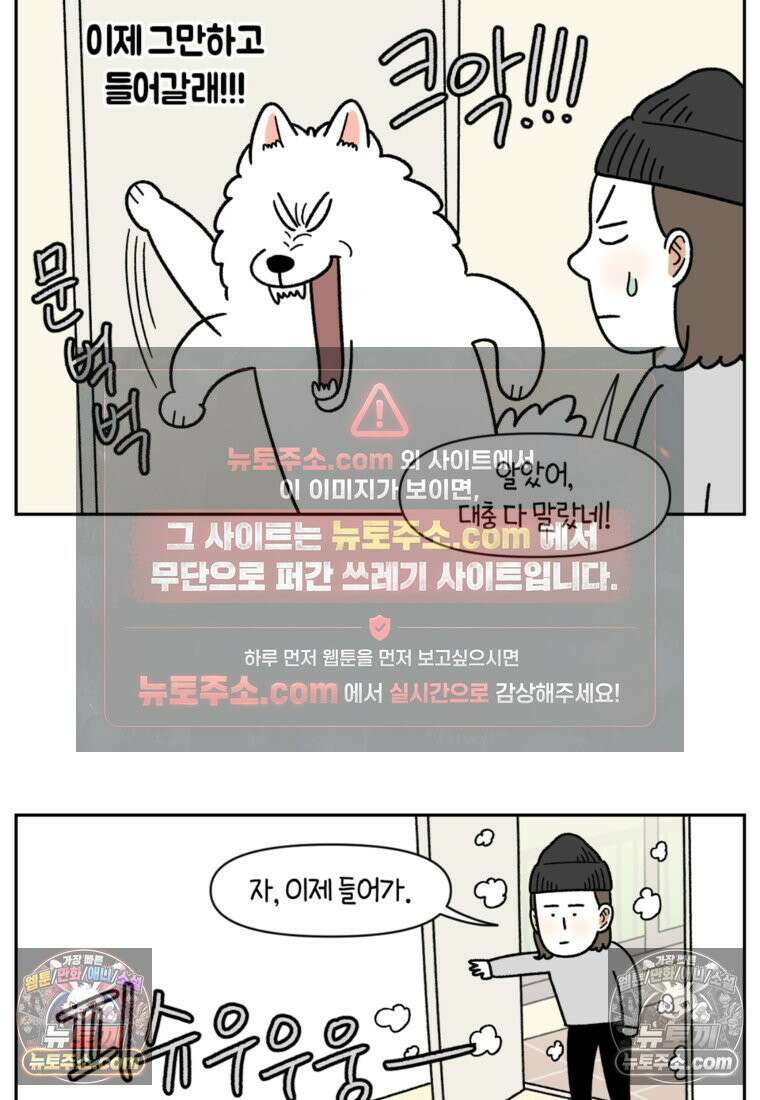 극한견주 시즌2 50화 초강풍 에어탱크 드라이기 18