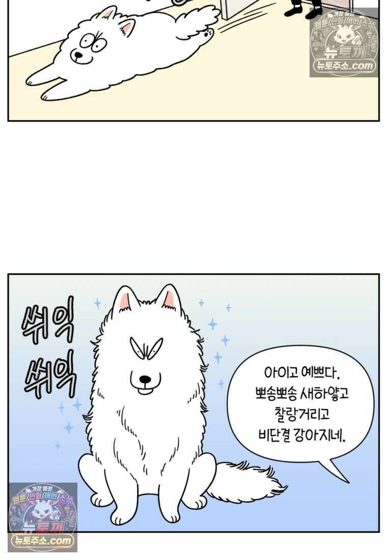 극한견주 시즌2 50화 초강풍 에어탱크 드라이기 19