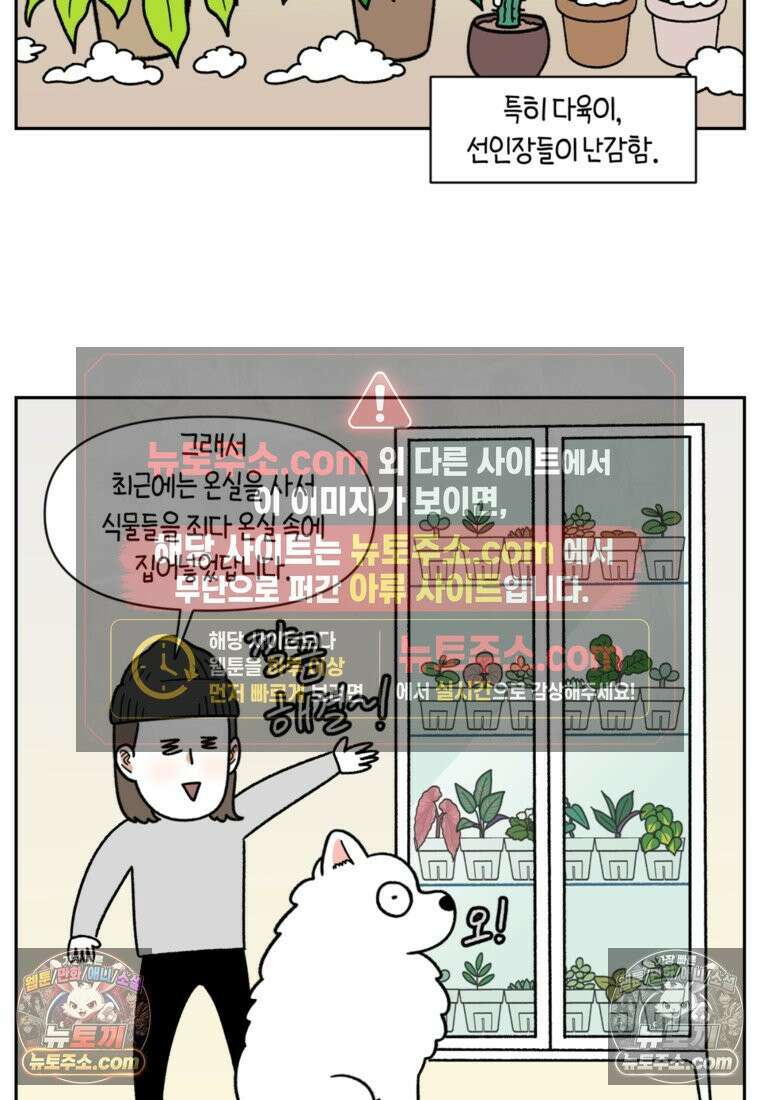 극한견주 시즌2 50화 초강풍 에어탱크 드라이기 23