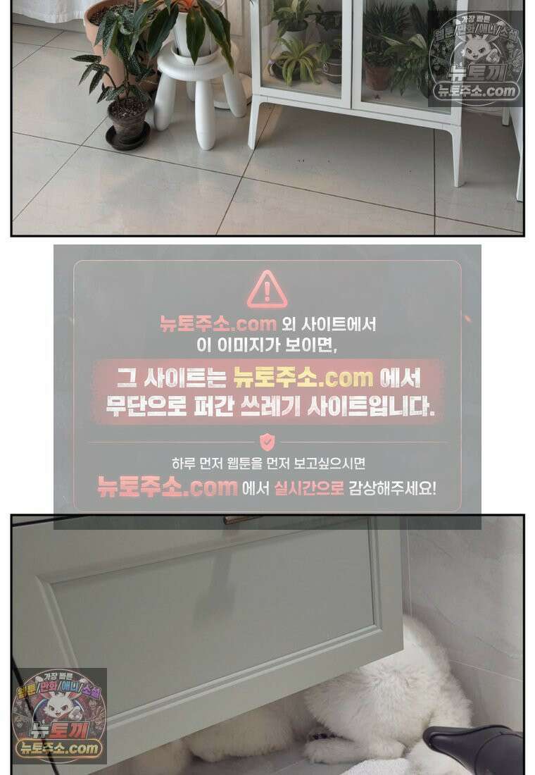극한견주 시즌2 50화 초강풍 에어탱크 드라이기 25