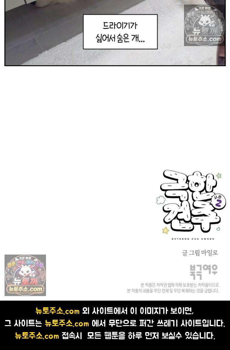 극한견주 시즌2 50화 초강풍 에어탱크 드라이기 26