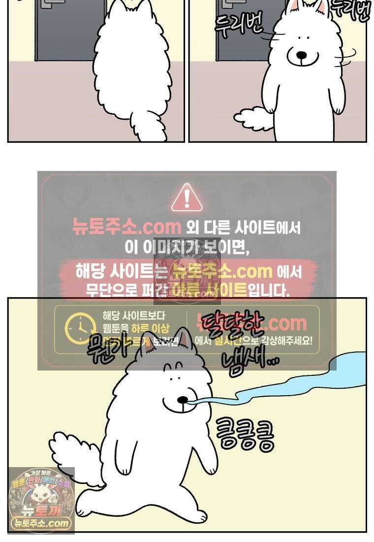 극한견주 시즌2 56화 자일리톨 껌 섭취 사건 4