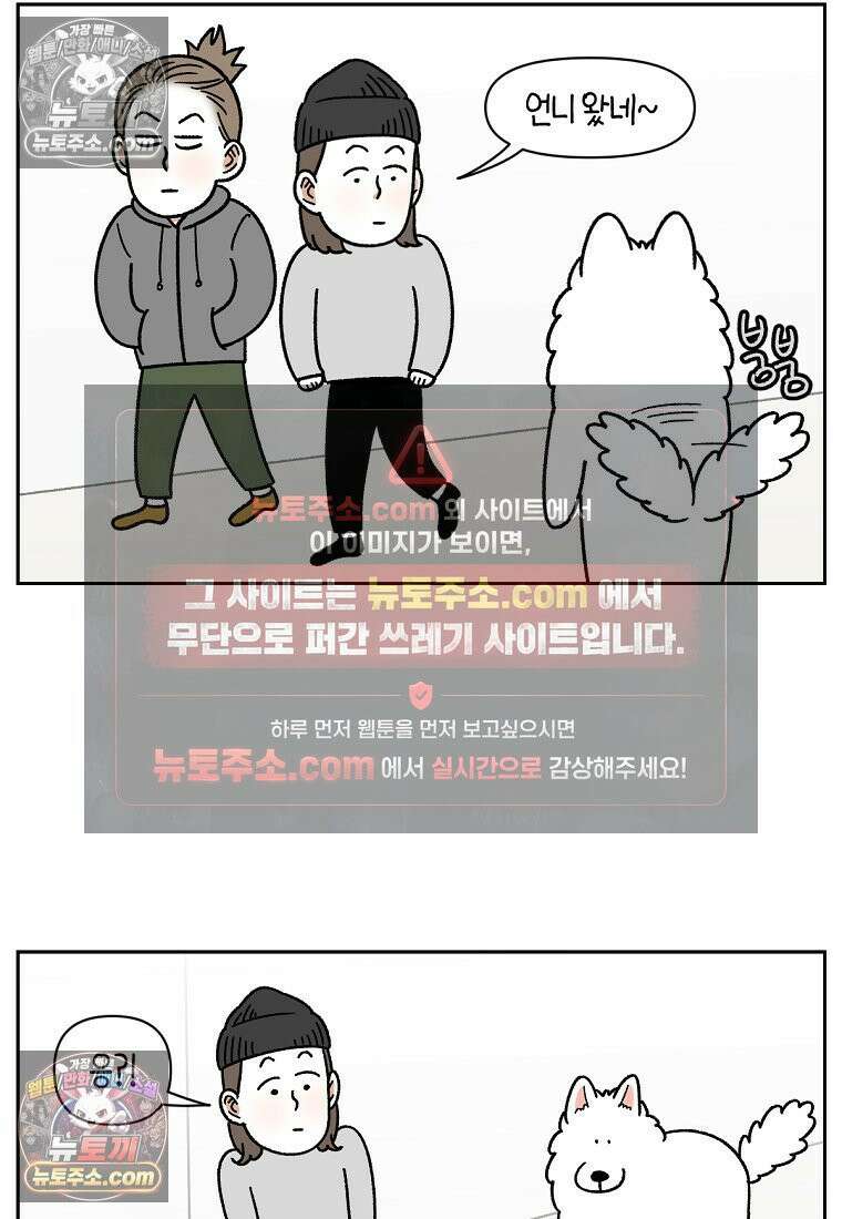 극한견주 시즌2 56화 자일리톨 껌 섭취 사건 6