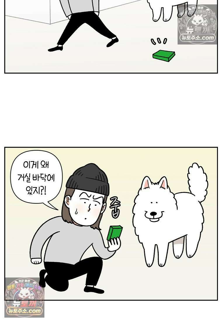 극한견주 시즌2 56화 자일리톨 껌 섭취 사건 7