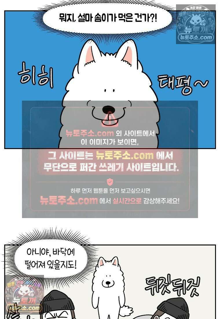 극한견주 시즌2 56화 자일리톨 껌 섭취 사건 10