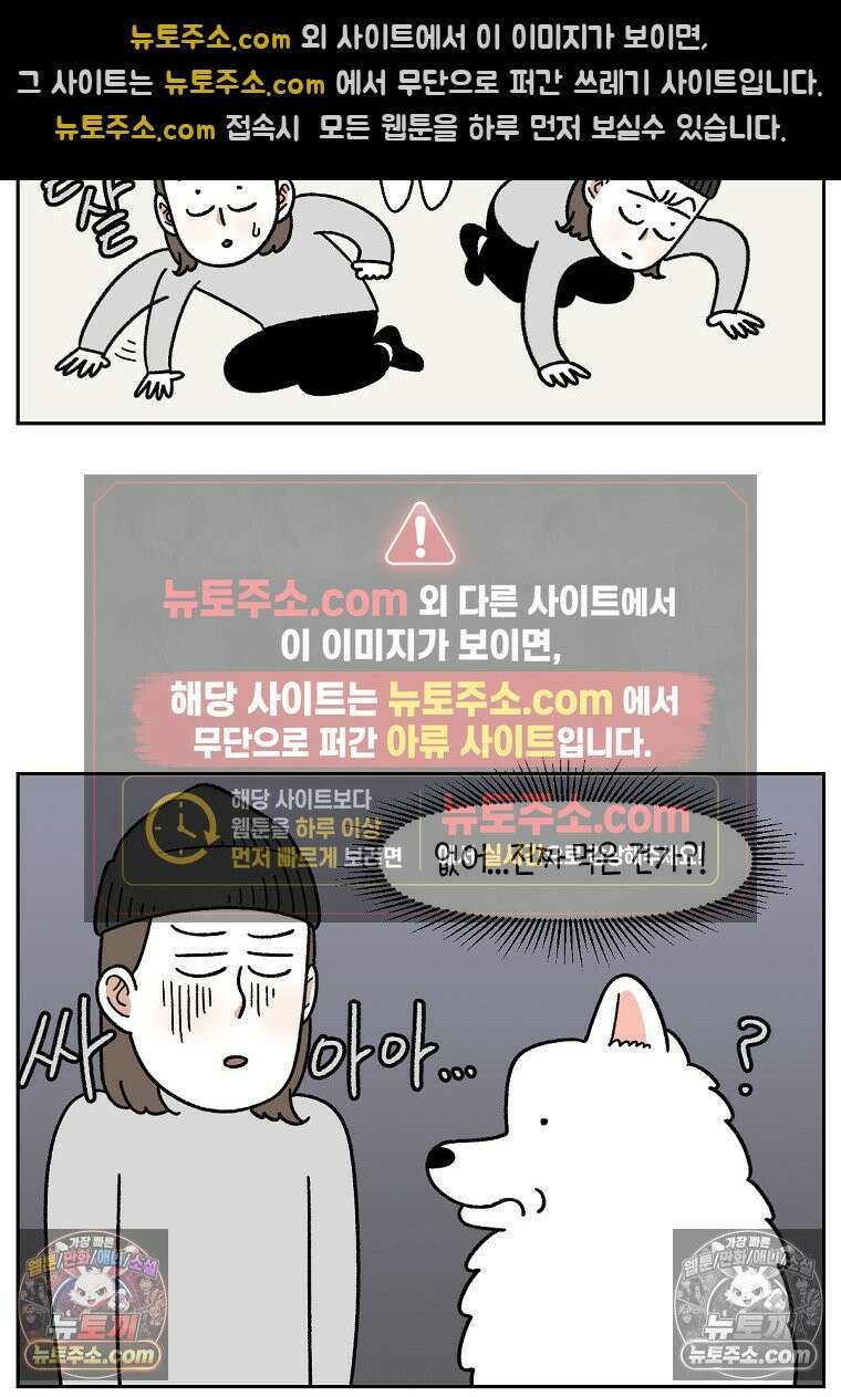극한견주 시즌2 56화 자일리톨 껌 섭취 사건 11