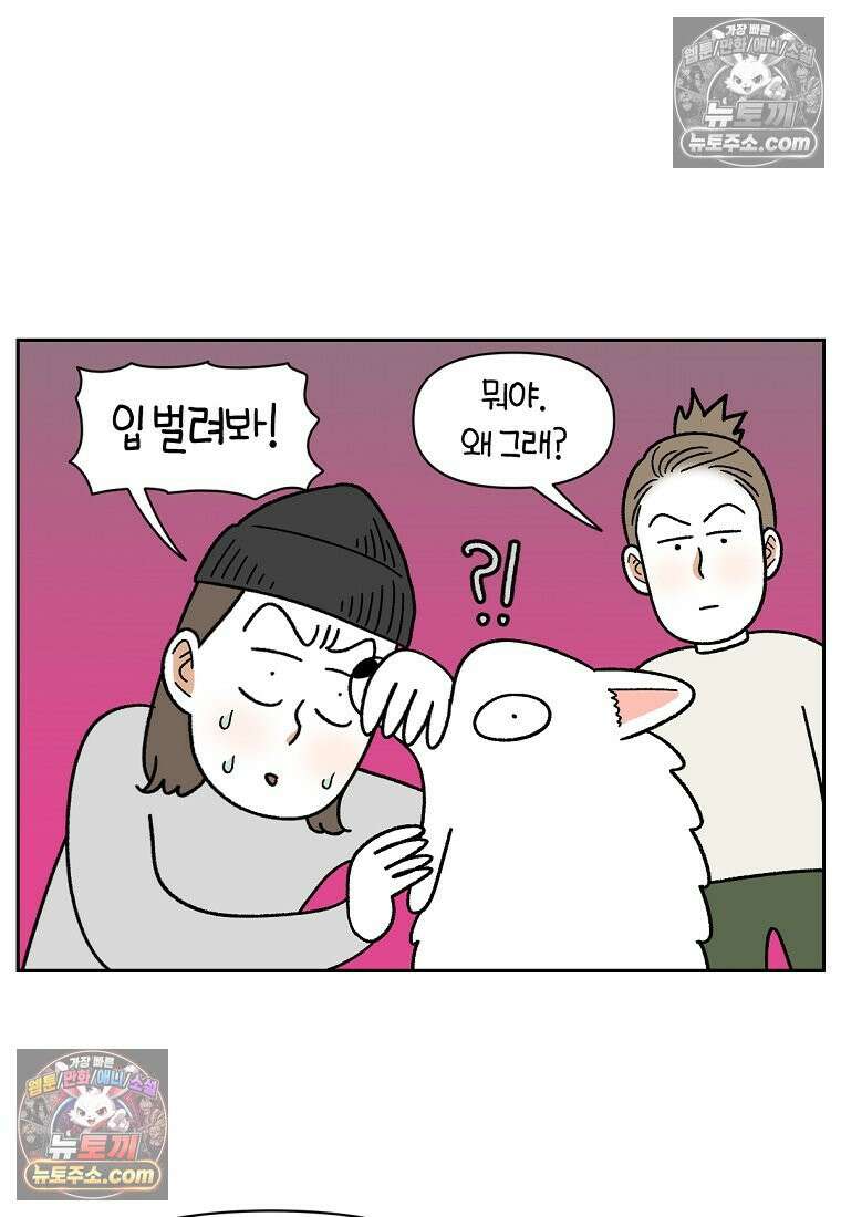 극한견주 시즌2 56화 자일리톨 껌 섭취 사건 12