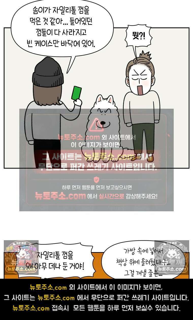 극한견주 시즌2 56화 자일리톨 껌 섭취 사건 13