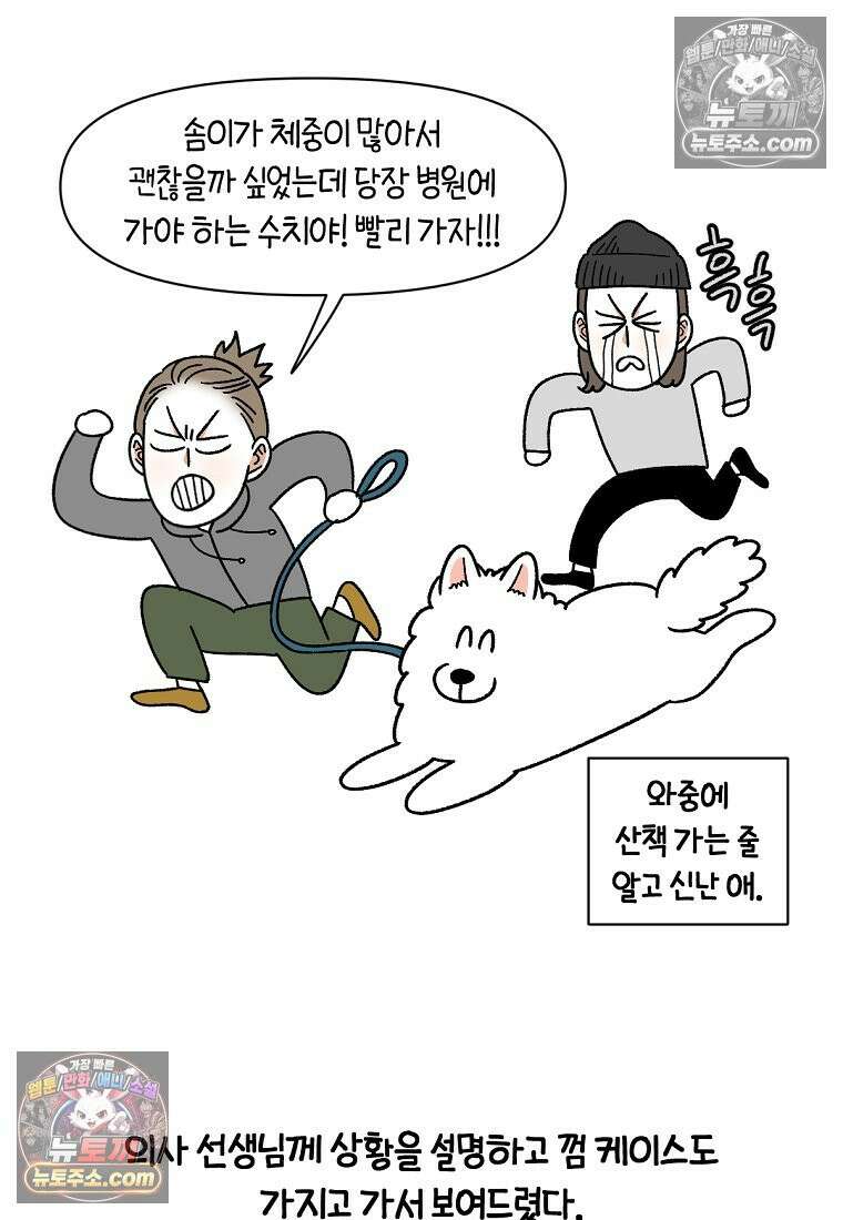 극한견주 시즌2 56화 자일리톨 껌 섭취 사건 16