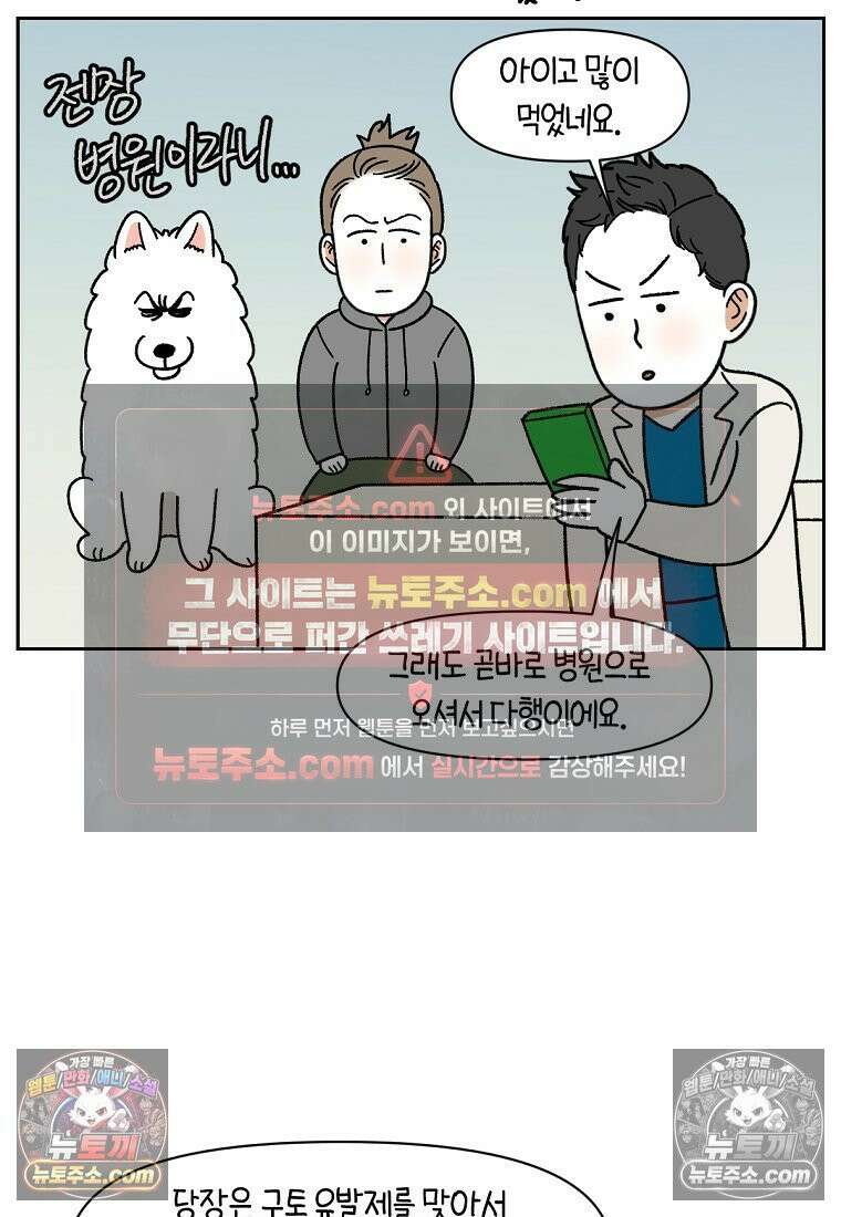 극한견주 시즌2 56화 자일리톨 껌 섭취 사건 17
