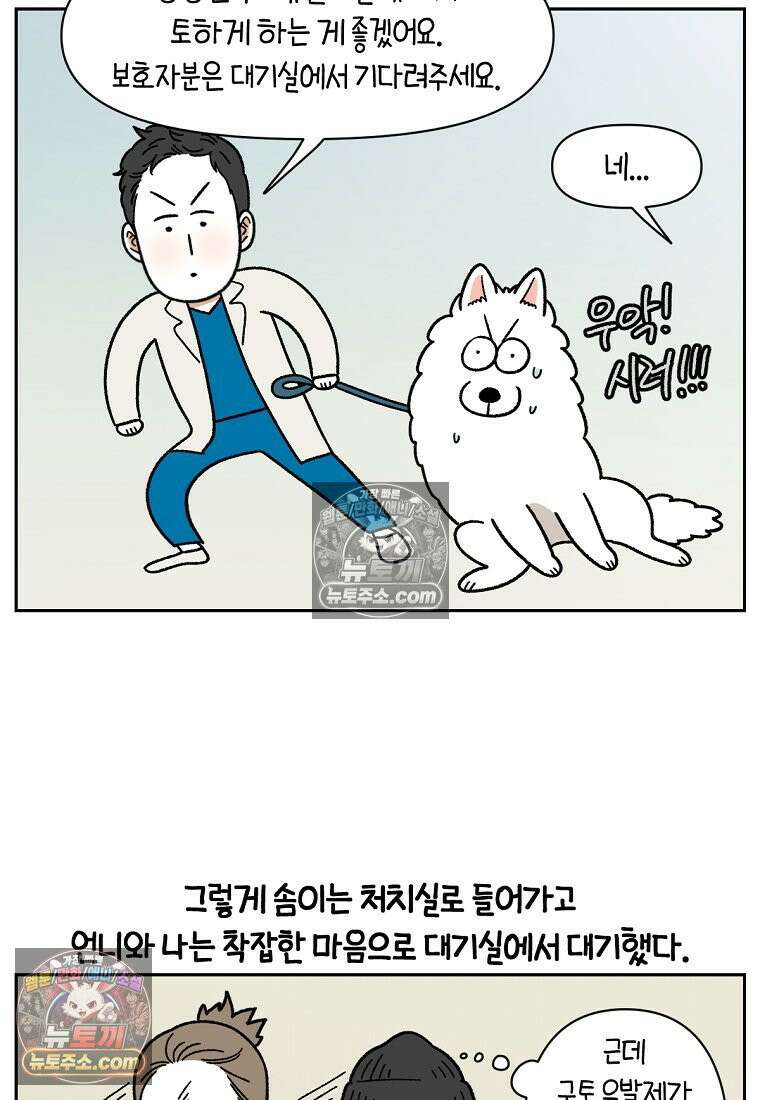 극한견주 시즌2 56화 자일리톨 껌 섭취 사건 18