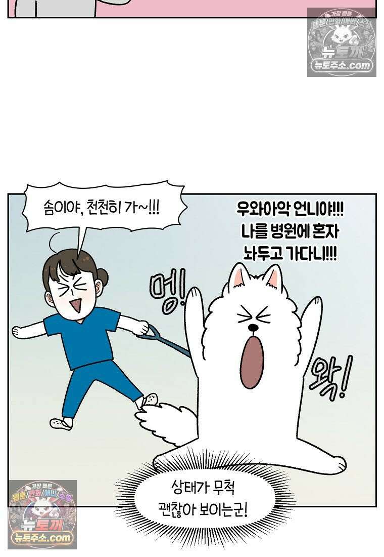극한견주 시즌2 56화 자일리톨 껌 섭취 사건 23