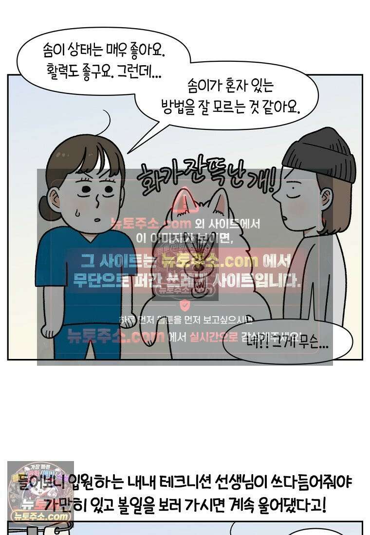 극한견주 시즌2 56화 자일리톨 껌 섭취 사건 24