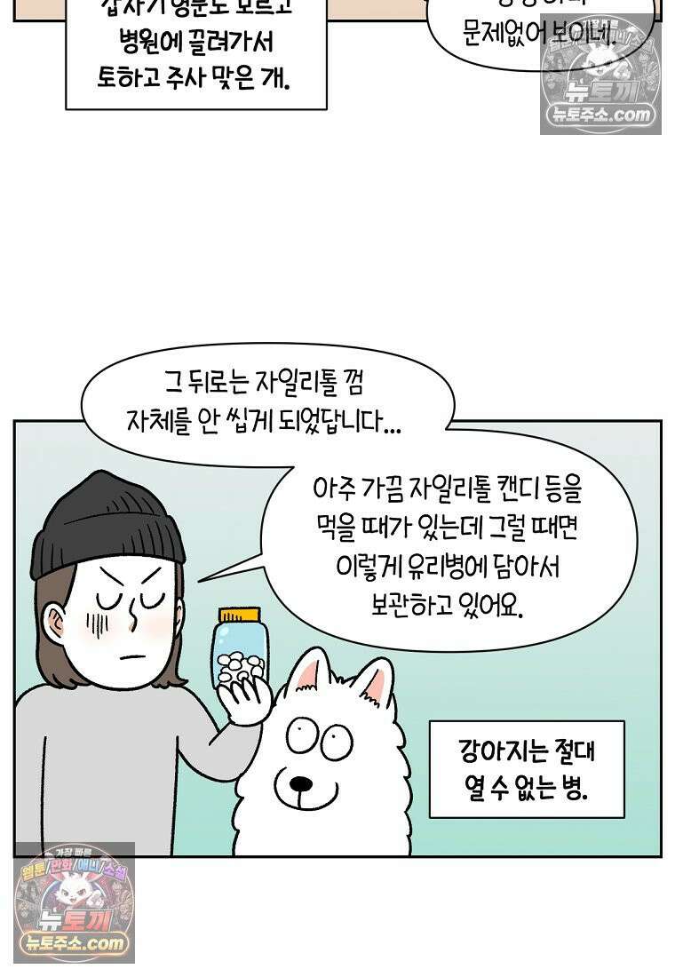 극한견주 시즌2 56화 자일리톨 껌 섭취 사건 27