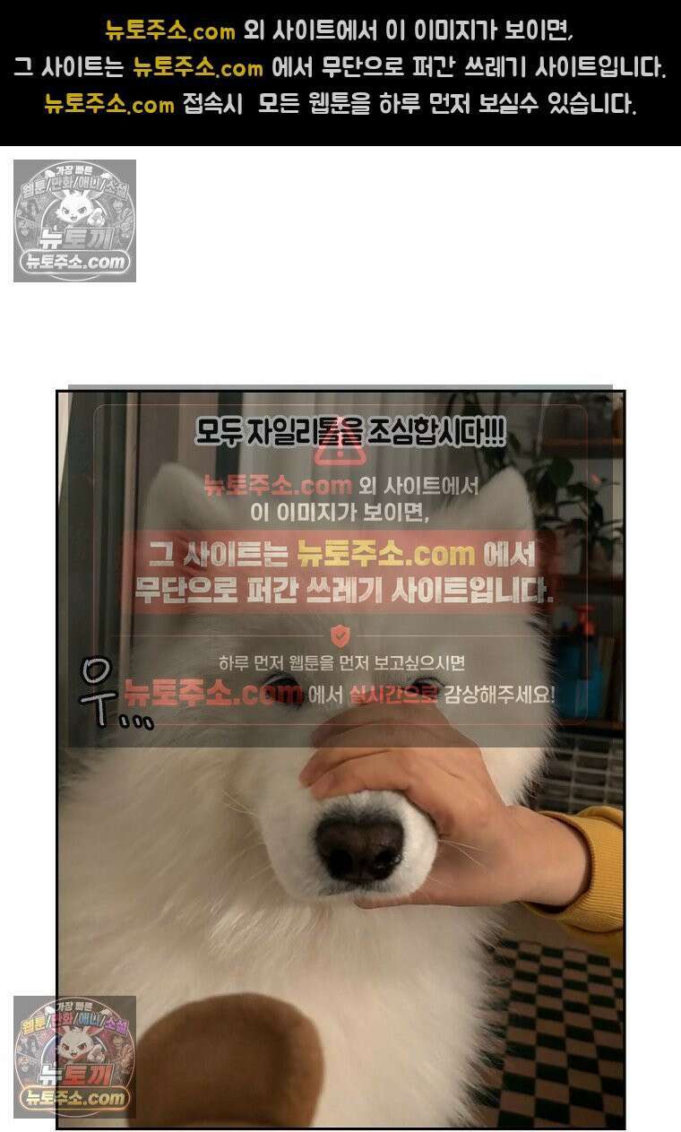 극한견주 시즌2 56화 자일리톨 껌 섭취 사건 28