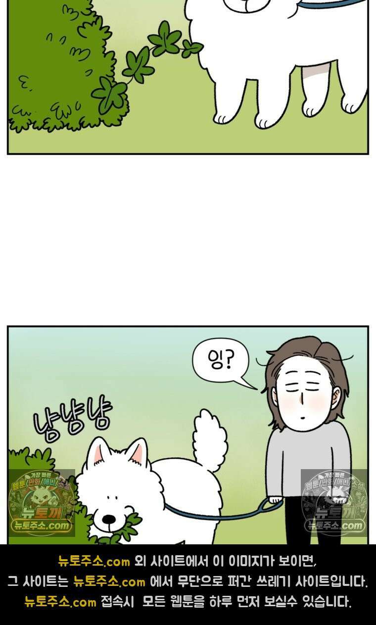 극한견주 시즌2 63화 풀뜯기와 눈먹기 3