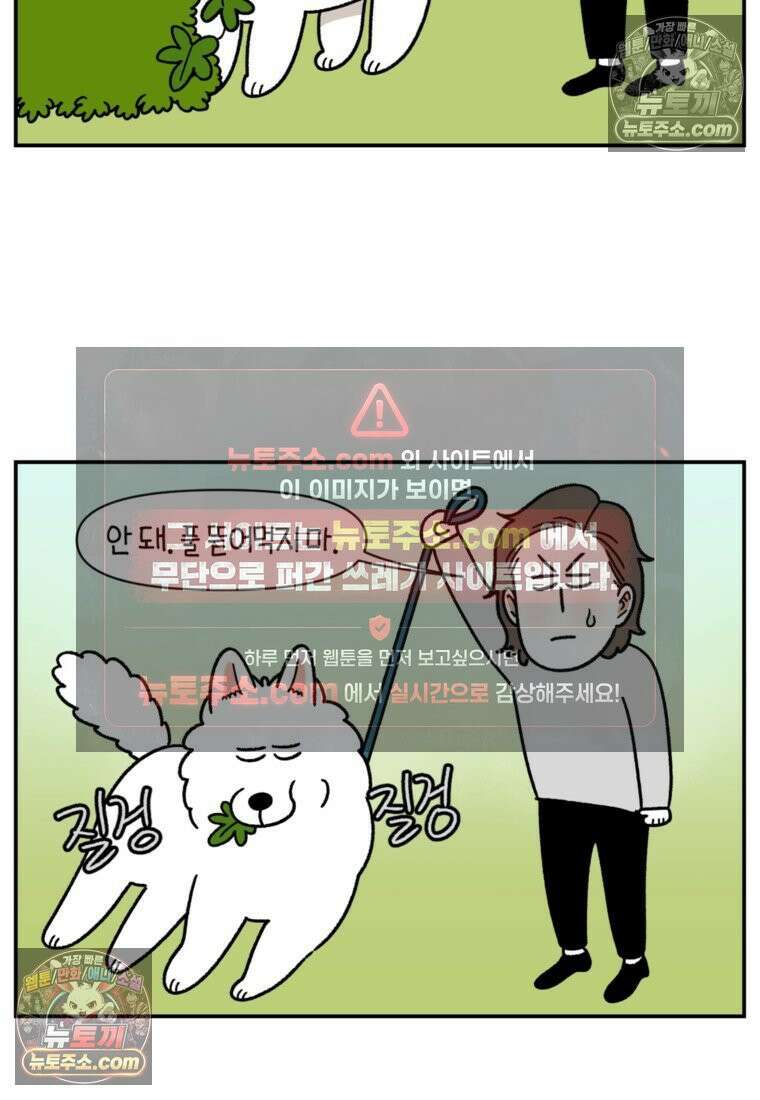 극한견주 시즌2 63화 풀뜯기와 눈먹기 4