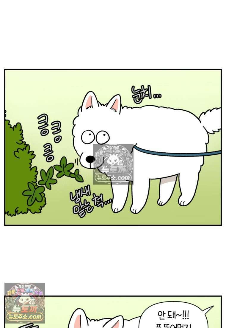 극한견주 시즌2 63화 풀뜯기와 눈먹기 5