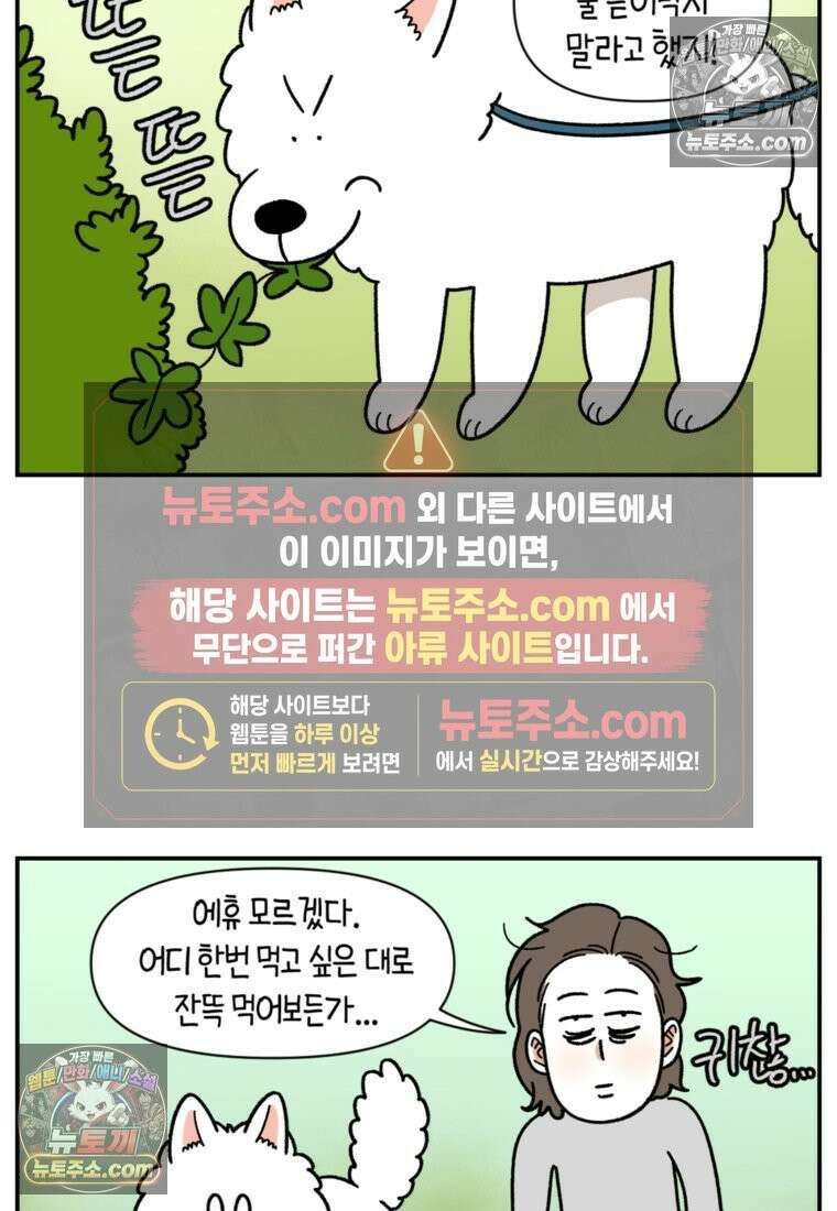 극한견주 시즌2 63화 풀뜯기와 눈먹기 6