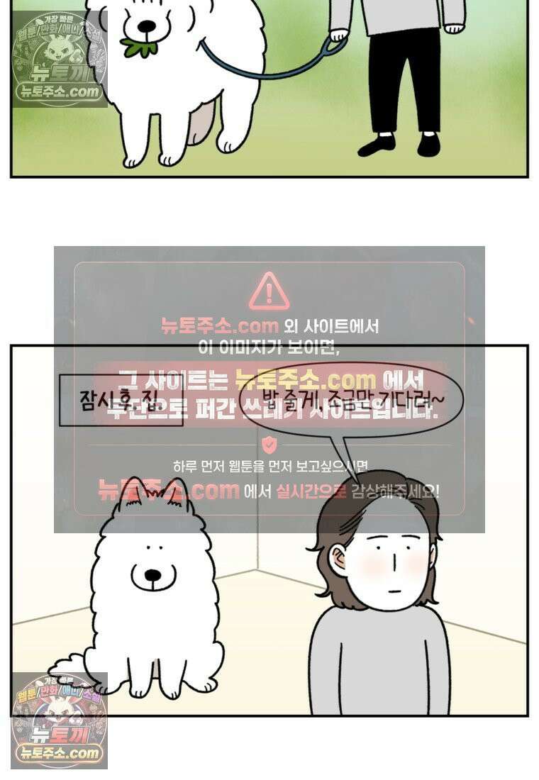 극한견주 시즌2 63화 풀뜯기와 눈먹기 7