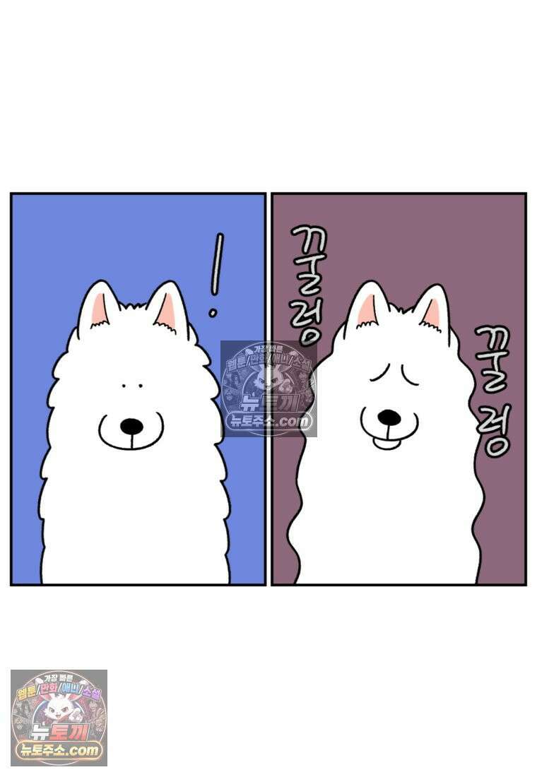 극한견주 시즌2 63화 풀뜯기와 눈먹기 8