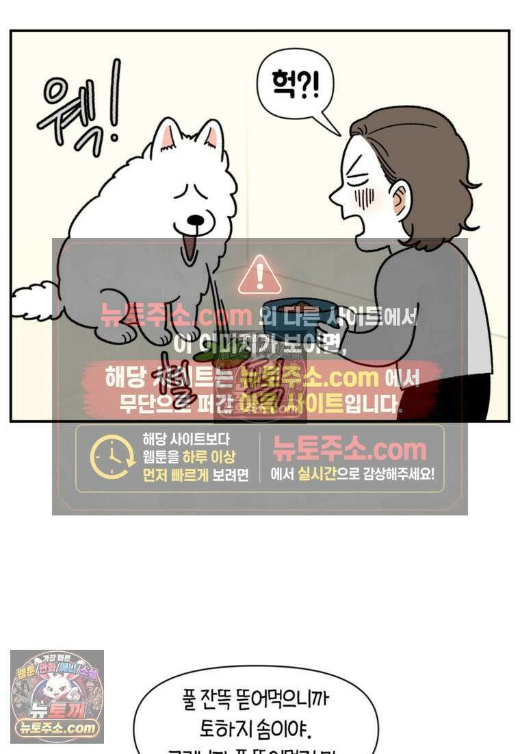 극한견주 시즌2 63화 풀뜯기와 눈먹기 9