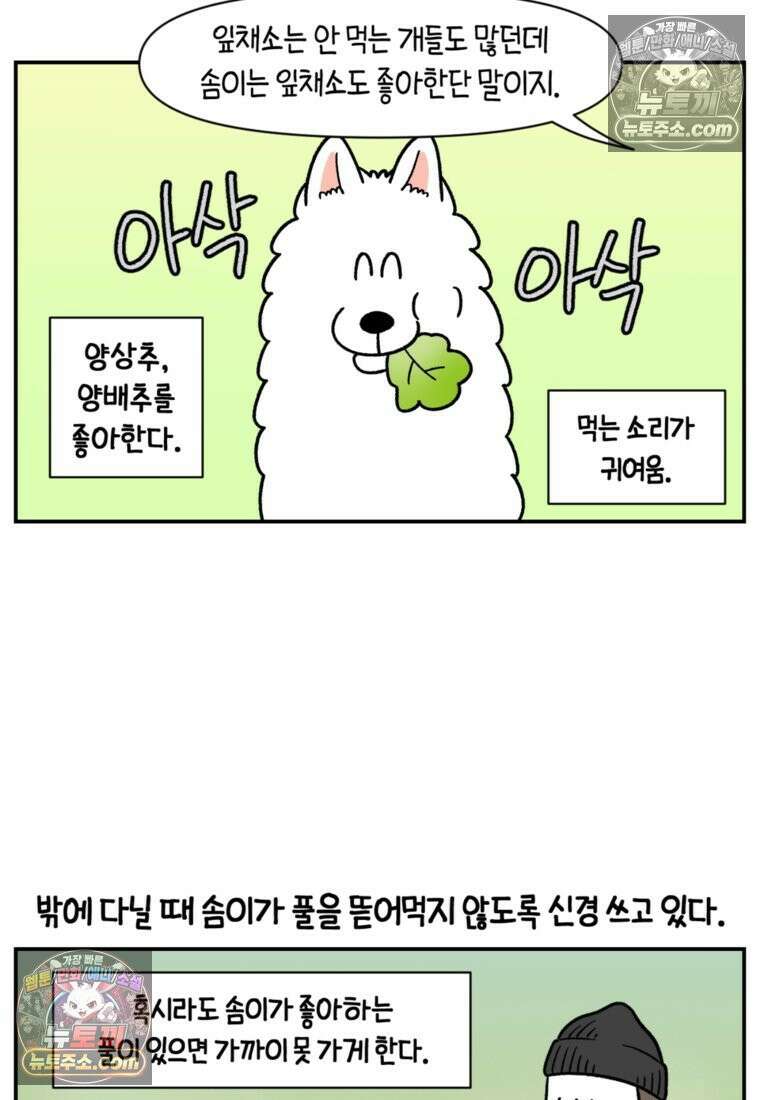 극한견주 시즌2 63화 풀뜯기와 눈먹기 13