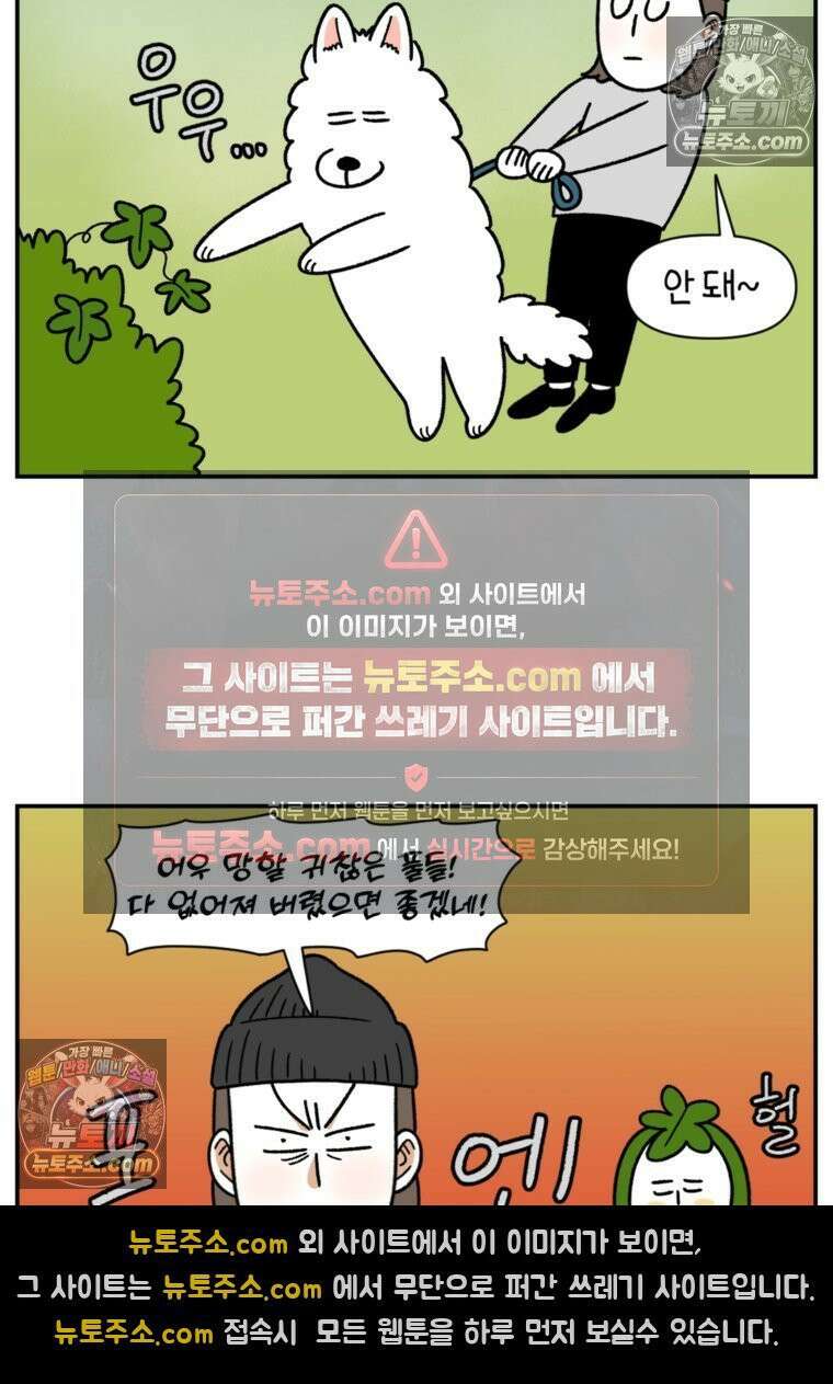 극한견주 시즌2 63화 풀뜯기와 눈먹기 14