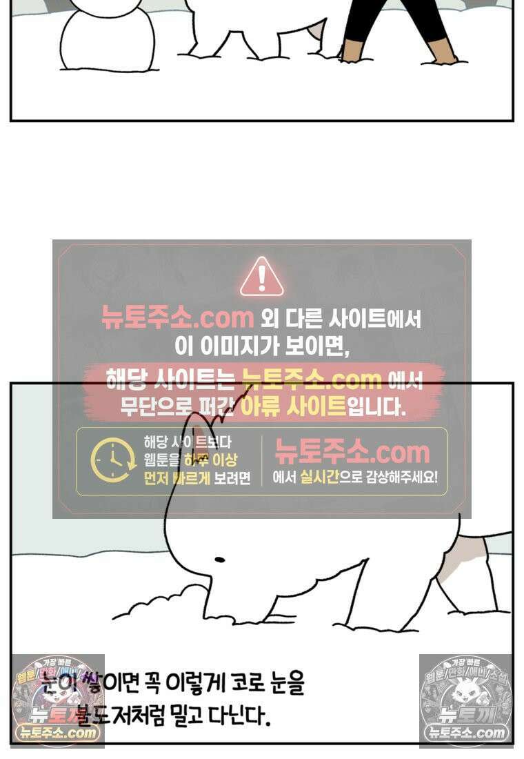 극한견주 시즌2 63화 풀뜯기와 눈먹기 19