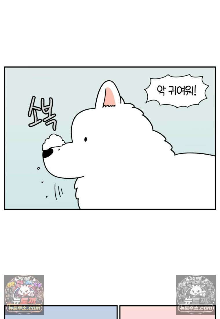 극한견주 시즌2 63화 풀뜯기와 눈먹기 20