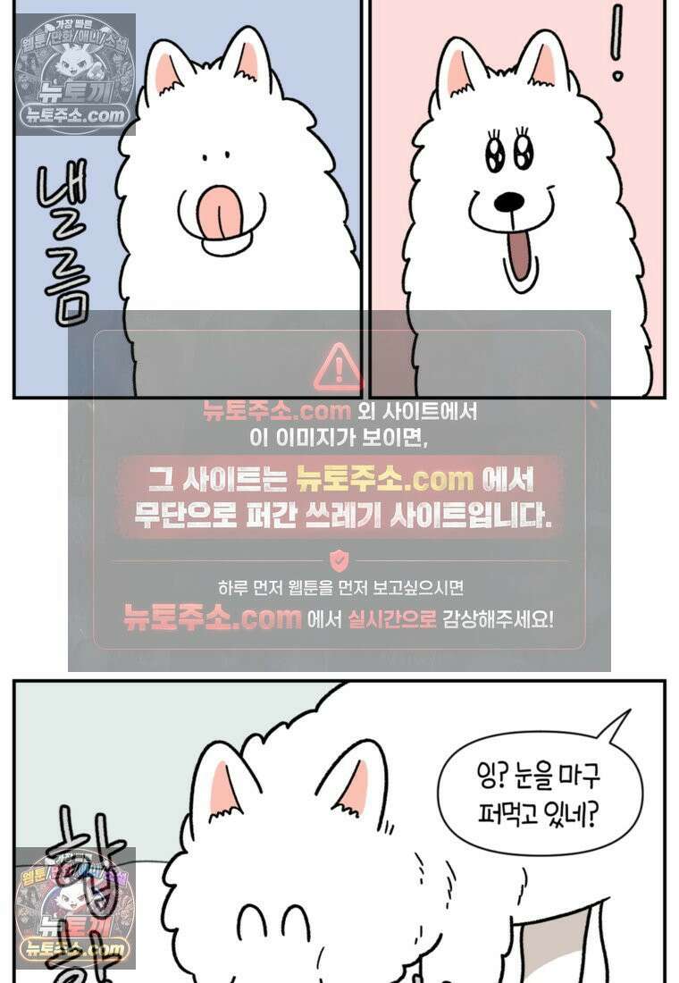 극한견주 시즌2 63화 풀뜯기와 눈먹기 21