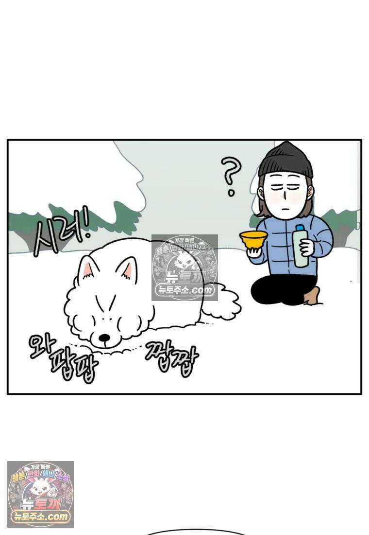 극한견주 시즌2 63화 풀뜯기와 눈먹기 23