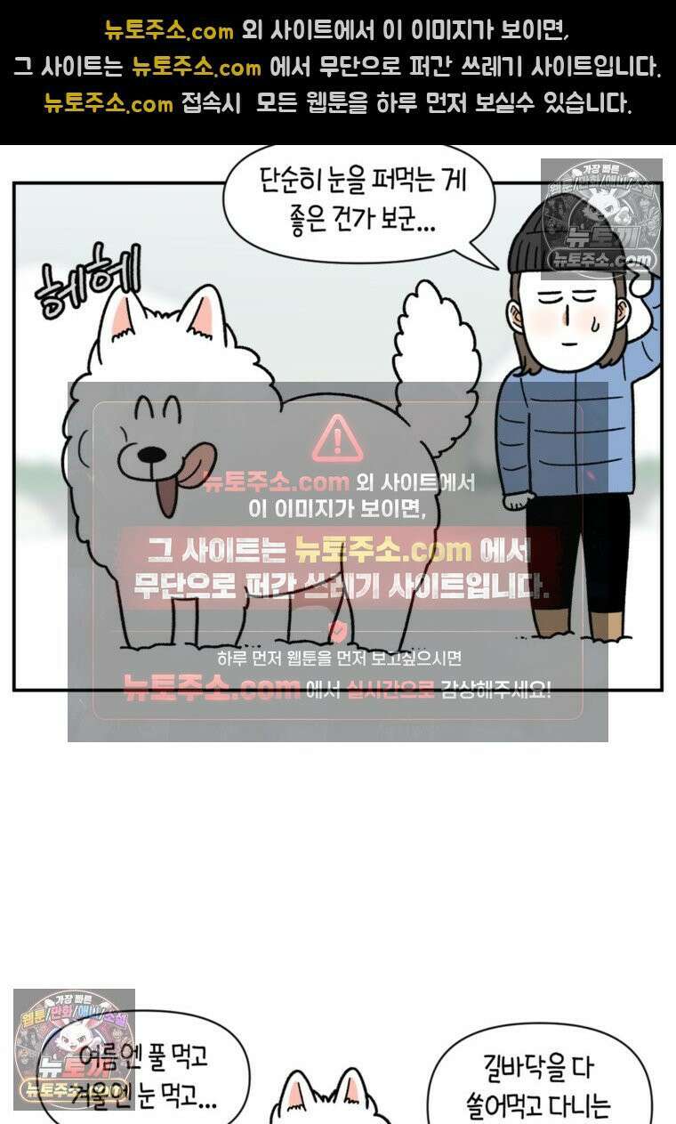 극한견주 시즌2 63화 풀뜯기와 눈먹기 24