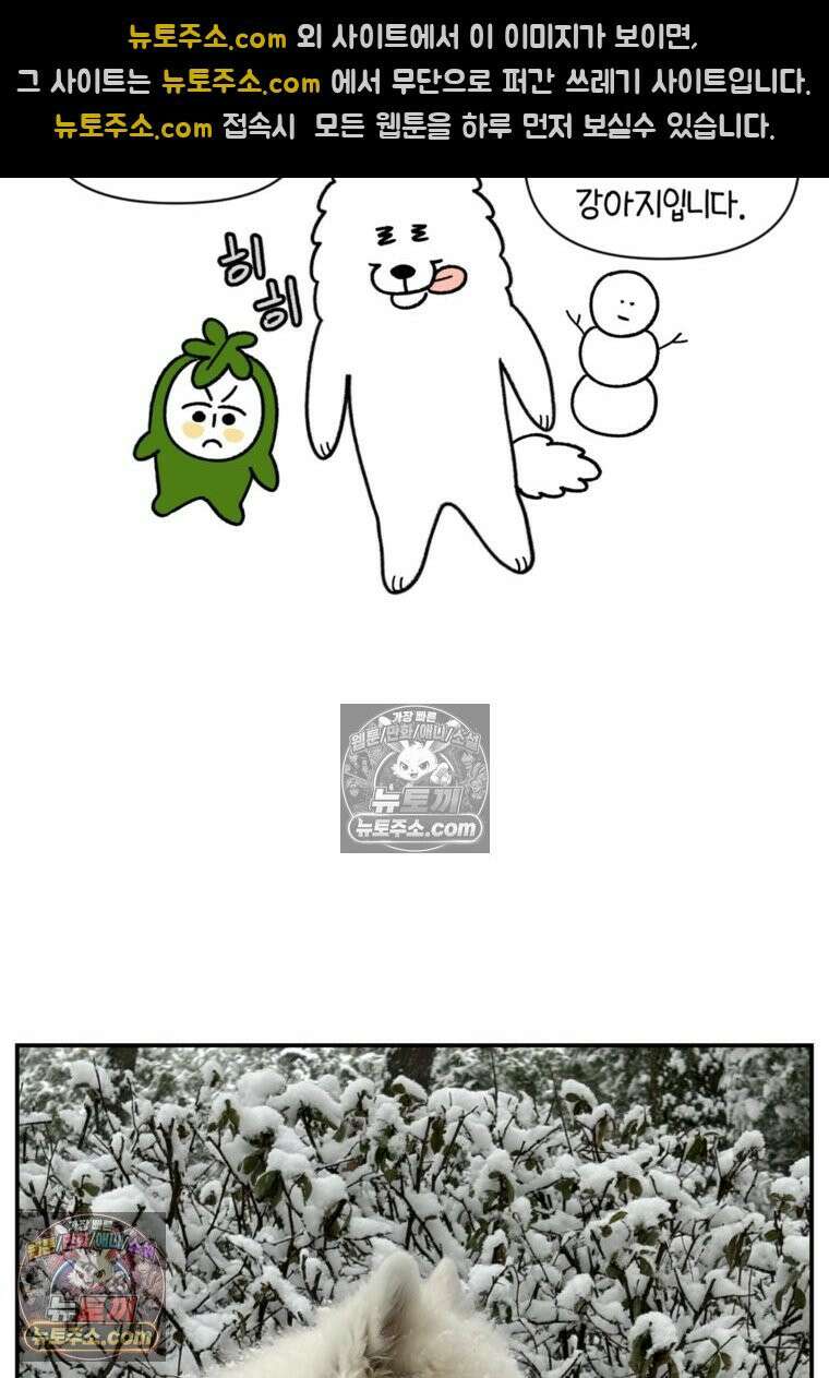 극한견주 시즌2 63화 풀뜯기와 눈먹기 25