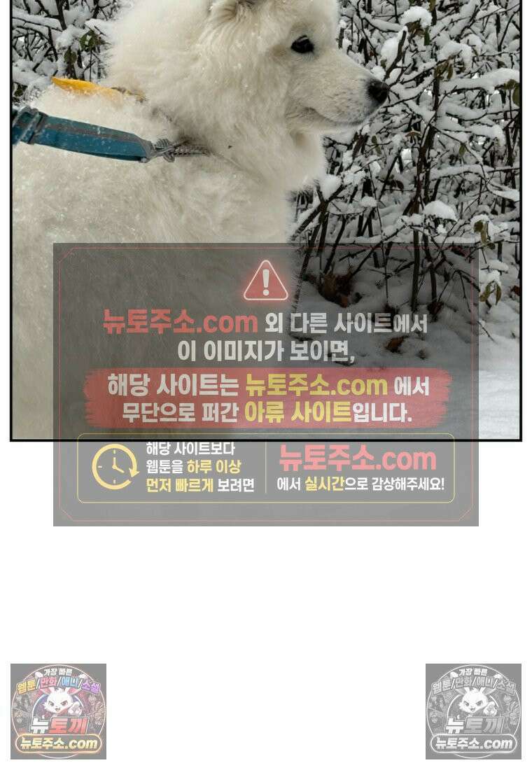 극한견주 시즌2 63화 풀뜯기와 눈먹기 26