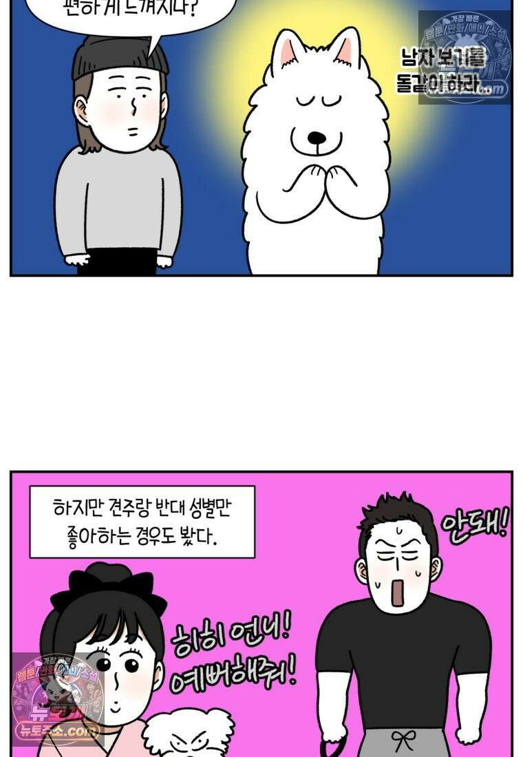 극한견주 시즌2 69화 여자만 좋은 강아지 8