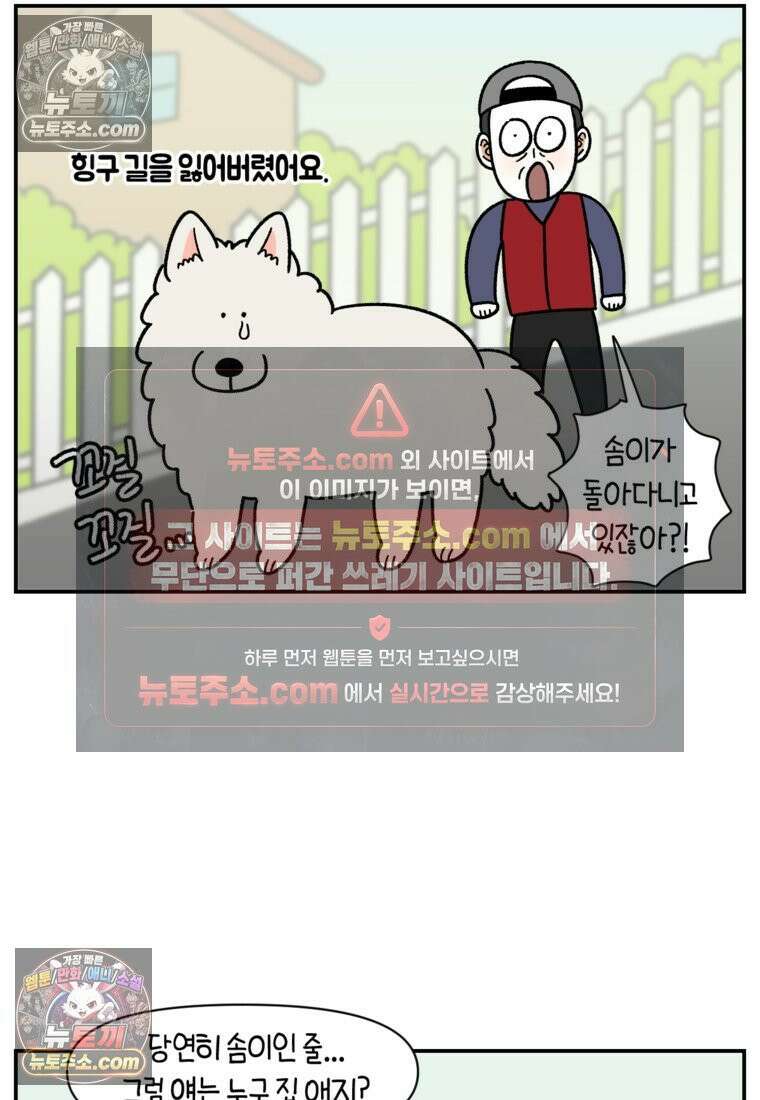 극한견주 시즌2 69화 여자만 좋은 강아지 17