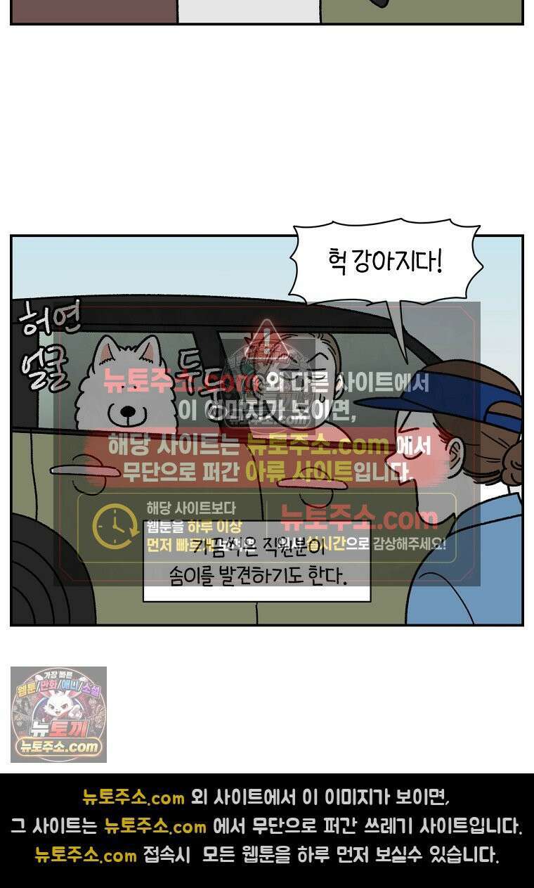 극한견주 시즌2 74화 드라이브스루 4
