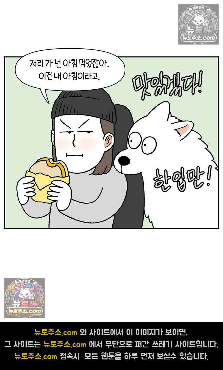 극한견주 시즌2 74화 드라이브스루 8