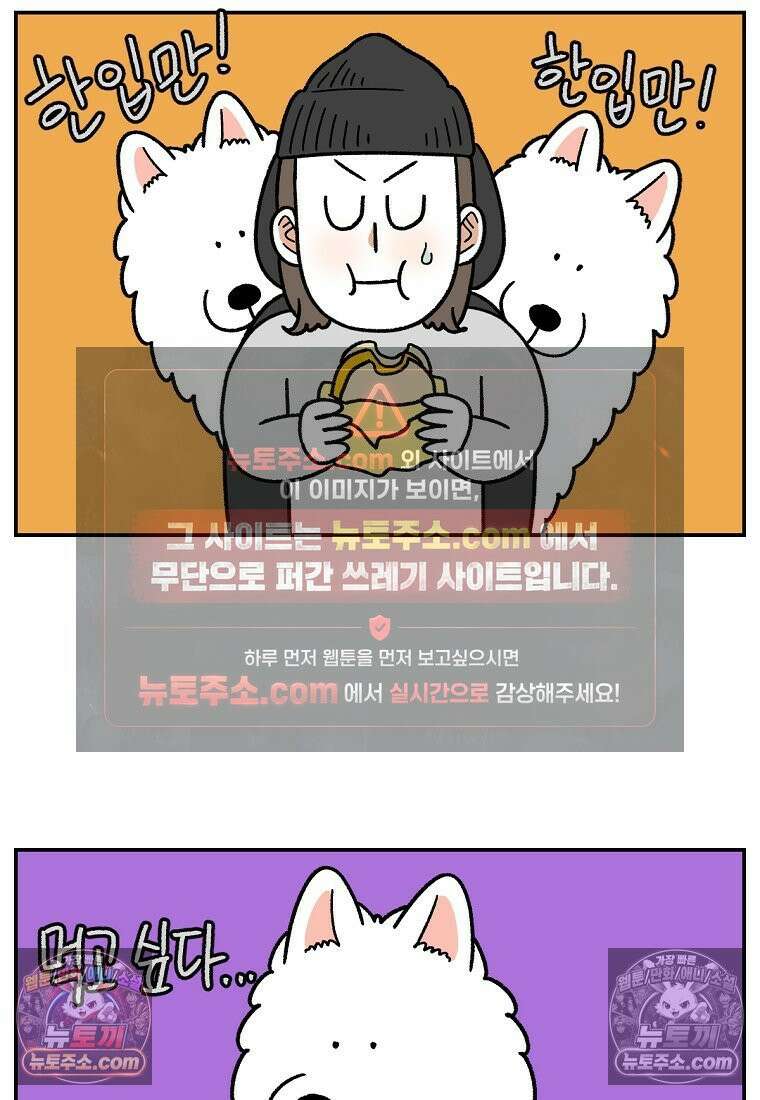극한견주 시즌2 74화 드라이브스루 9