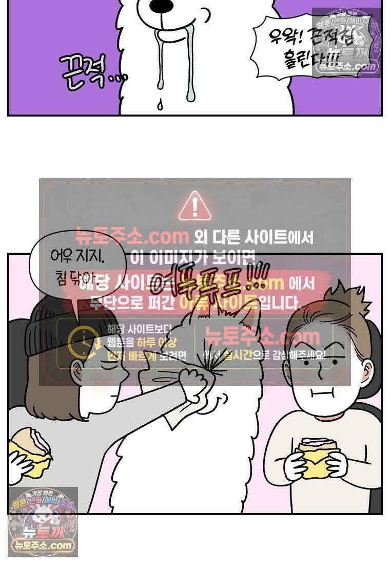 극한견주 시즌2 74화 드라이브스루 10
