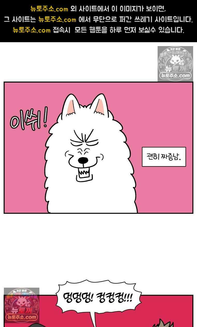 극한견주 시즌2 74화 드라이브스루 11