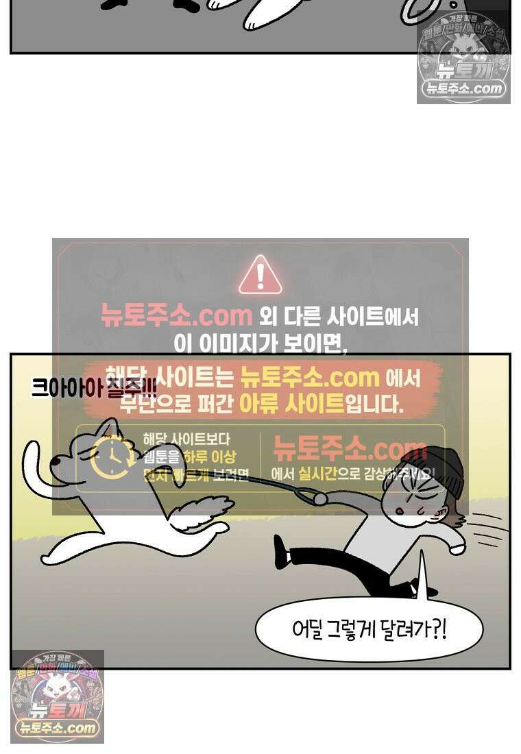 극한견주 시즌2 74화 드라이브스루 17