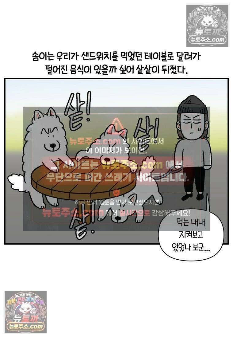 극한견주 시즌2 74화 드라이브스루 18