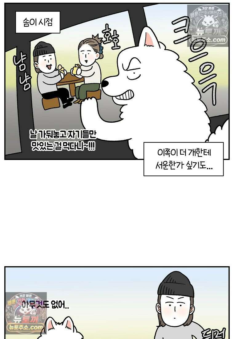 극한견주 시즌2 74화 드라이브스루 19