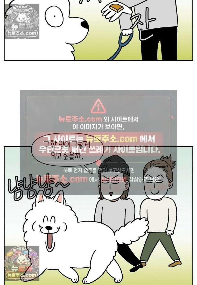 극한견주 시즌2 74화 드라이브스루 21