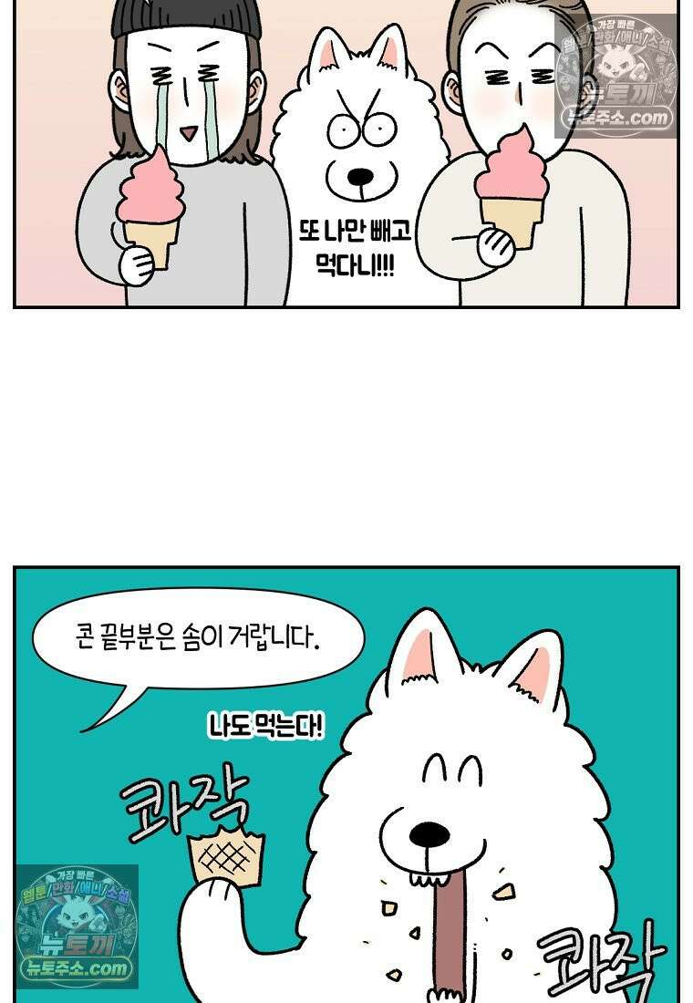 극한견주 시즌2 74화 드라이브스루 24