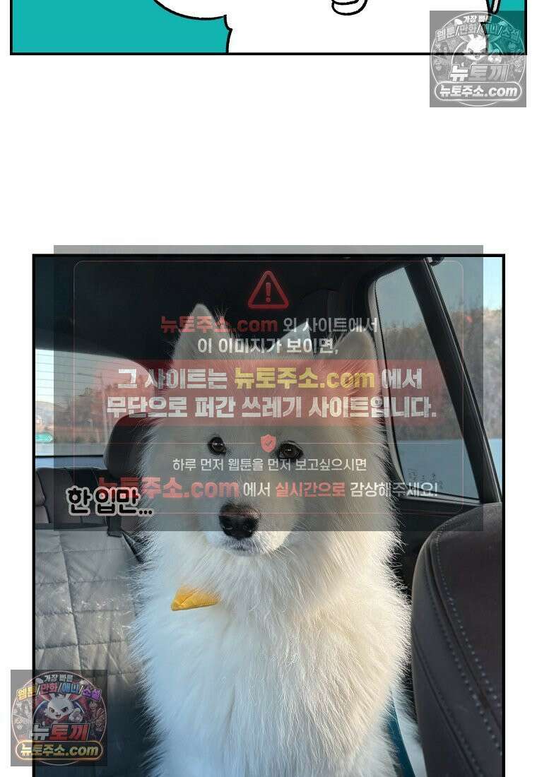 극한견주 시즌2 74화 드라이브스루 25