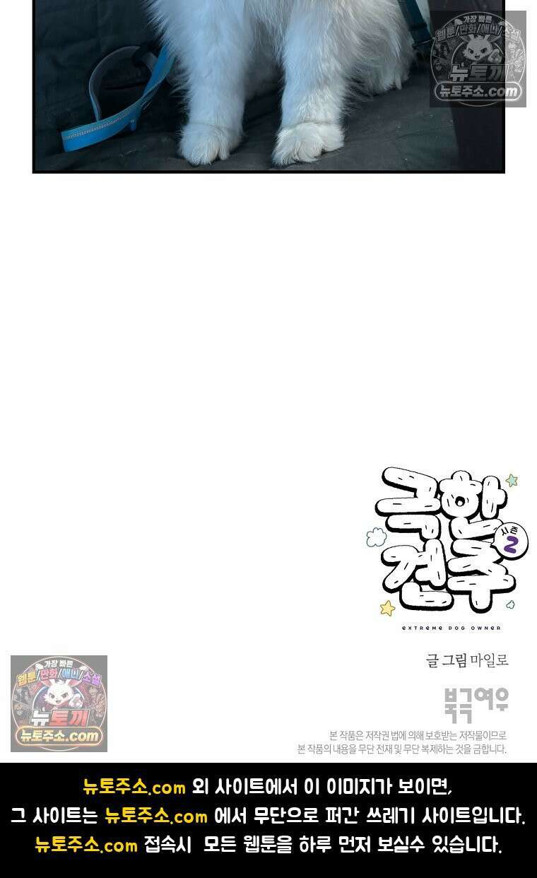 극한견주 시즌2 74화 드라이브스루 26
