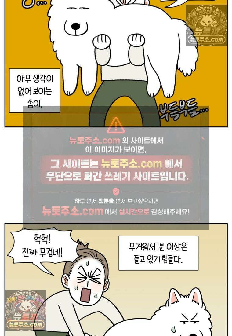 극한견주 시즌2 79화 솜이를 들고 나타나기 6